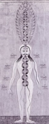 Yoga Kundalini