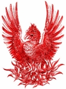 Ave Fenix